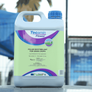 Tecamin